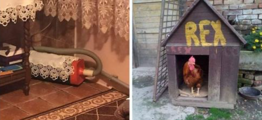 12 фото, которые можно сделать у бабушки в деревне