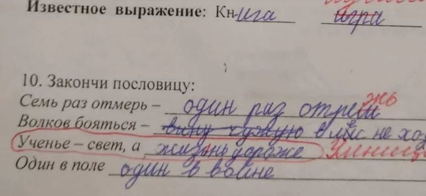 16 смешных детских ответов на школьные задания