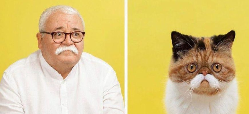 Фотограф показал, как сложно иногда отличить кошку от хозяина: 7 пар, сходство которых поражает